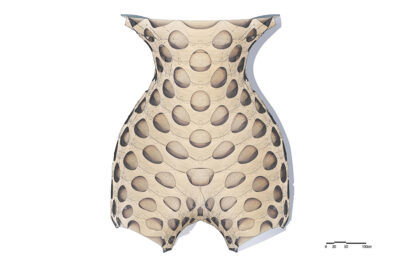 04_Process_ICD_Sewn-Timber-Shell